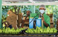 Article Image for Jobs in Green Technology and Innovation