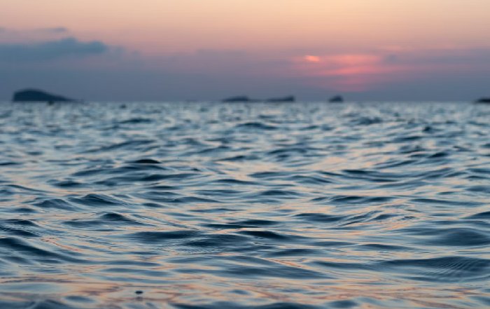 Article Image for Ocean-Based Carbon Removal Projects Launch