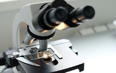 Article Image for Pharmaceutical Giants Partner With AI Drug Discovery Firms
