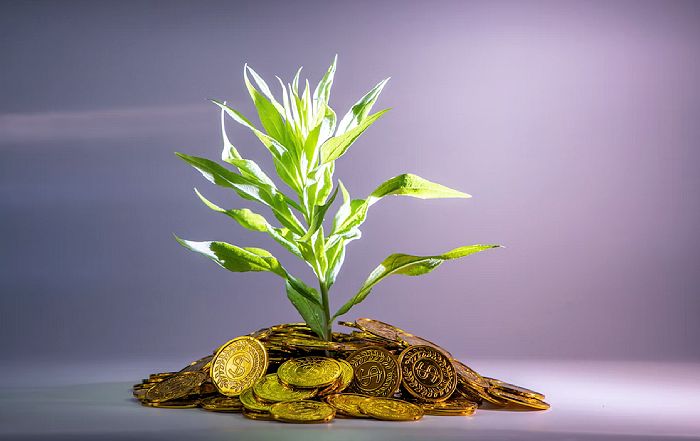 Recent Surge of Sustainable Banking Activity and What Top Business Banks to Consider