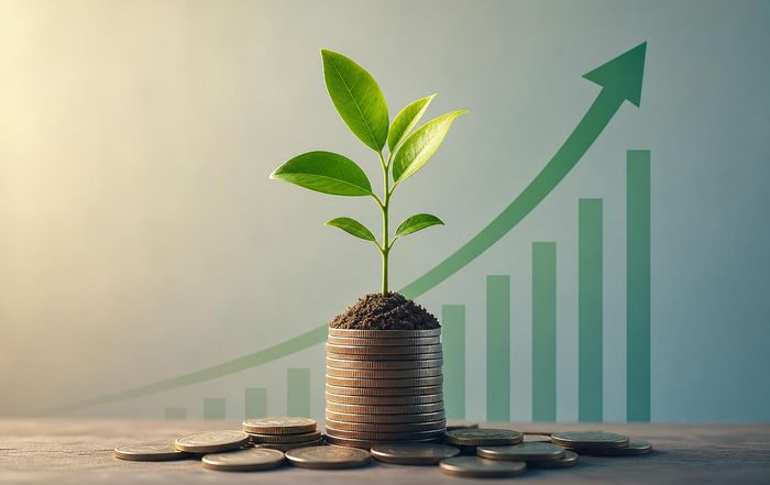 Article Image for Scaling a Startup With Capital Efficient Growth