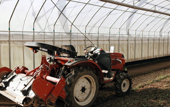 Article Image for Sustainable Agriculture Tech Transformations