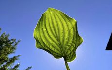 Article Image for Sustainable Finance and Green Investment Trends