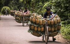 Article Image for Sustainable Supply Chain Innovations