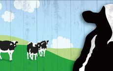Top 10 Sustainable Business Practices Big Brands Leading the Way