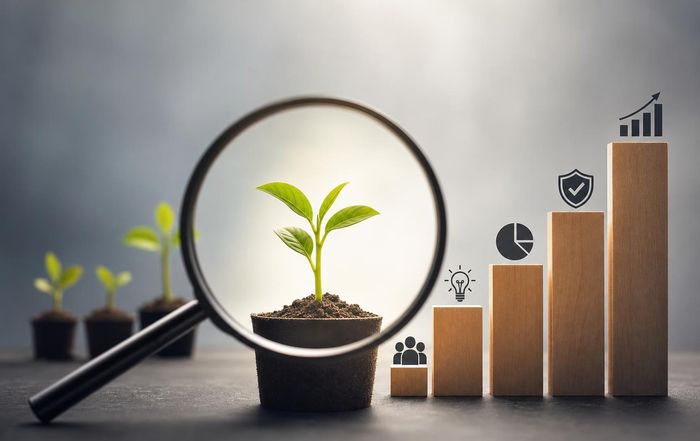 Article Image for What Investors Look for in Early Stage Startups